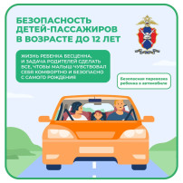 Безопасность детей пассажиров в возрасте до 12 лет Безопасность детей пассажиров в возрасте до 12 лет.